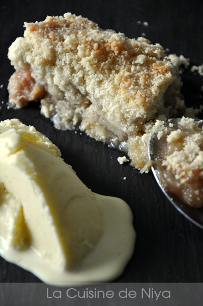 glace_vanille_crumble_pomme_rhubarbe_02